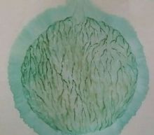 ˮ